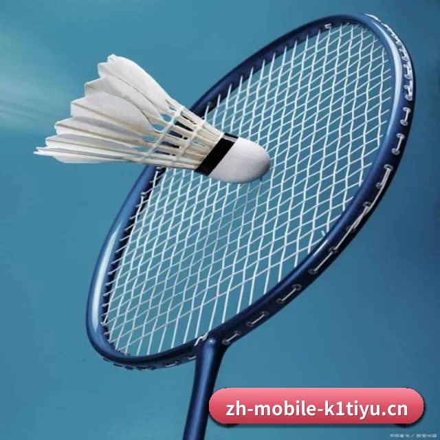 K1体育访问导航 APP 界面